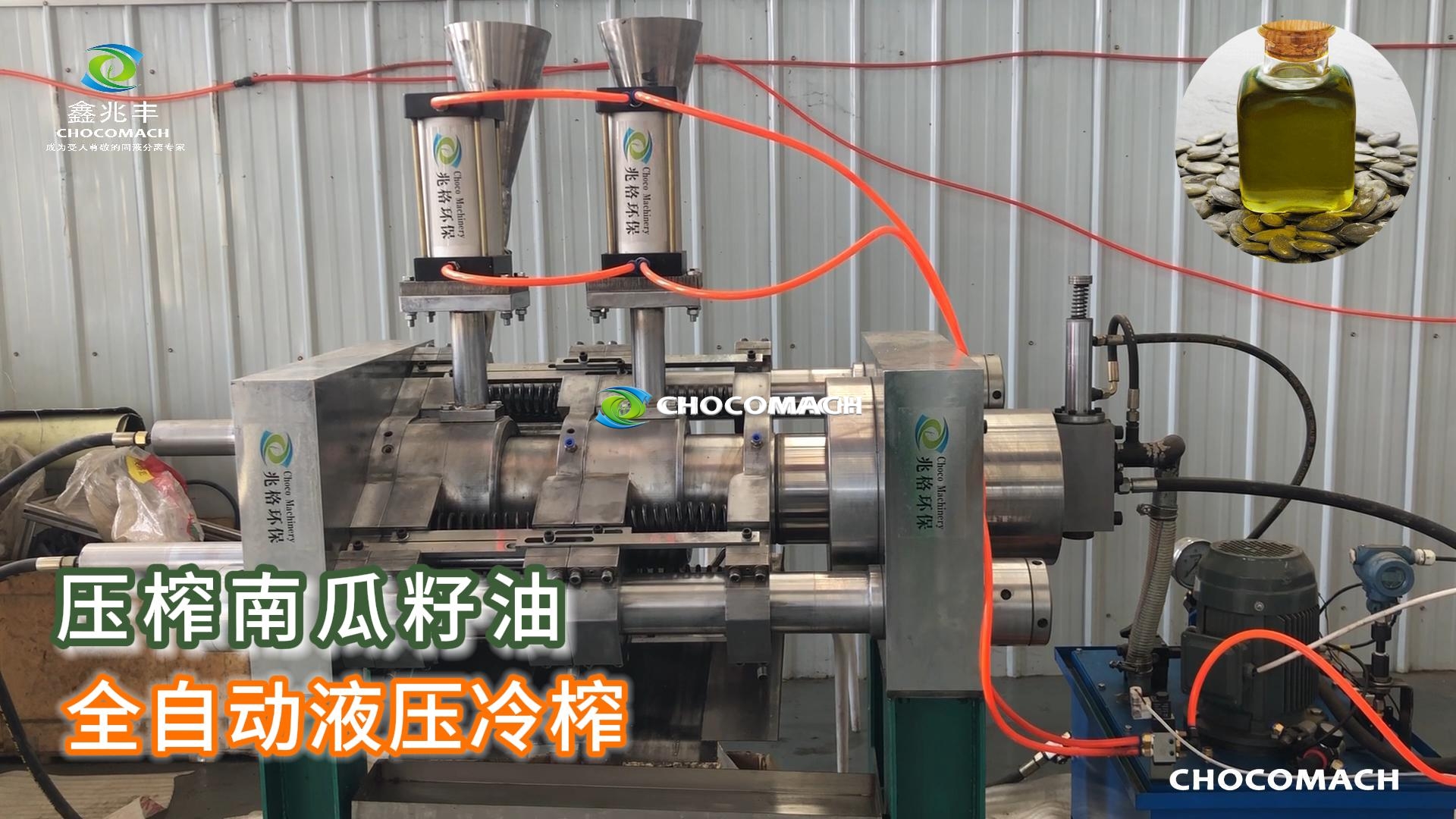 鑫兆豐YZW全自動液壓榨油機冷榨南瓜籽油