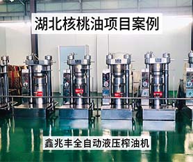 鑫兆豐YZL核桃液壓榨油機(jī)冷榨核桃產(chǎn)線(xiàn)項(xiàng)目