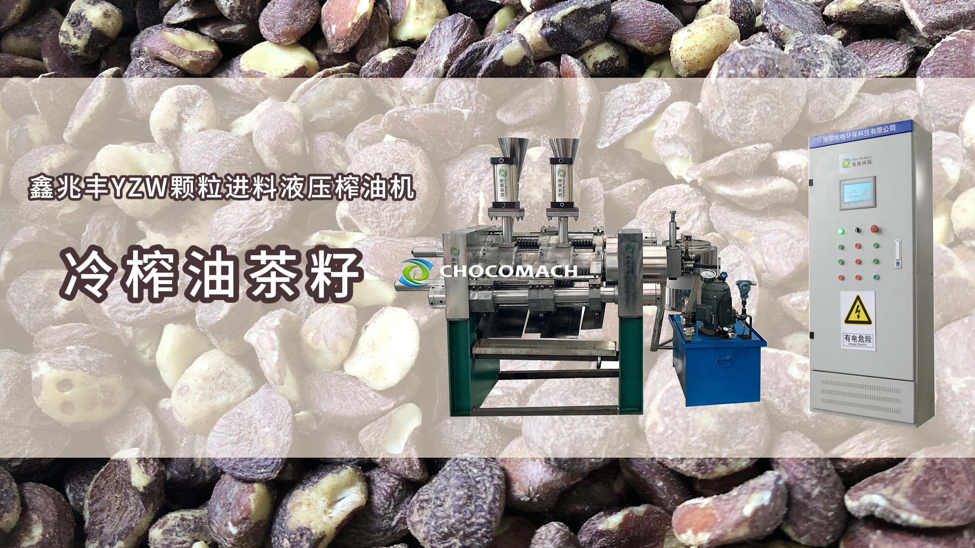 鑫兆豐全自動茶籽榨油機YZW/S冷榨茶籽油