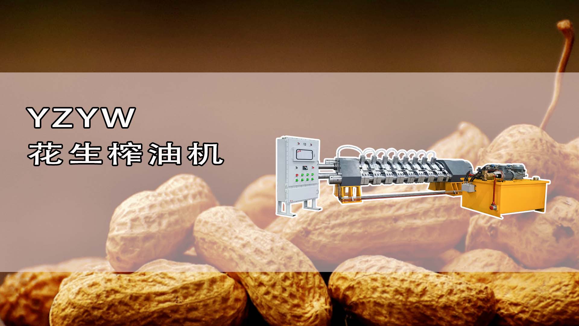 YZYW花生榨油機